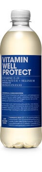 Vitamin - Well Protect 500ml 12 Stück