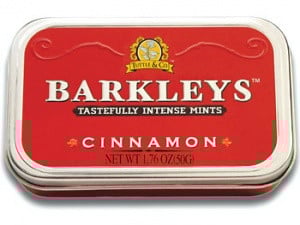 Cannelle en boîte Barkleys 50 grammes