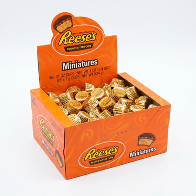 Reese's Peanut Butter Miniatures Box 105 Stück 922 Gram