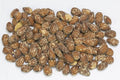 CandyOnline - Geräucherte Hickory-Mandeln 150 Gramm