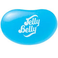 Jelly Belly Beans Blauwe Bes 100 Gram
