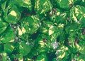 Baronie Hazelnoot Bonbons 1.25 Kilo