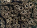 Haribo Réglisse Krakelingen 3 Kilo