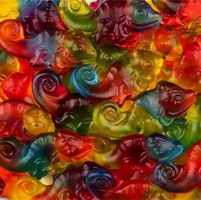 Haribo - Caméléon 1 Kilo