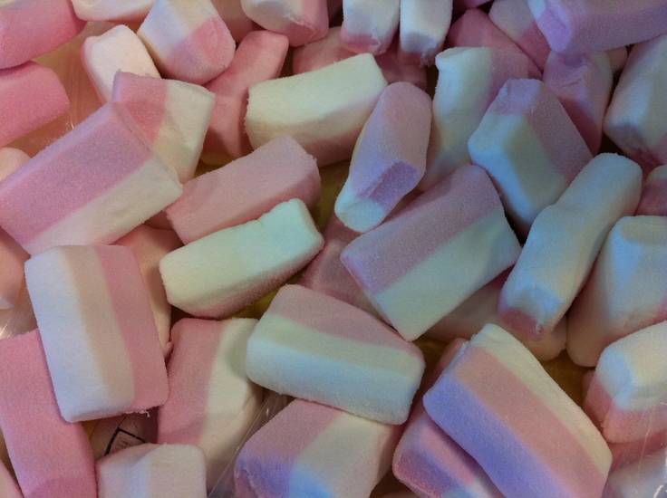 Blok Spek Wit/Roze 15 Pièces
